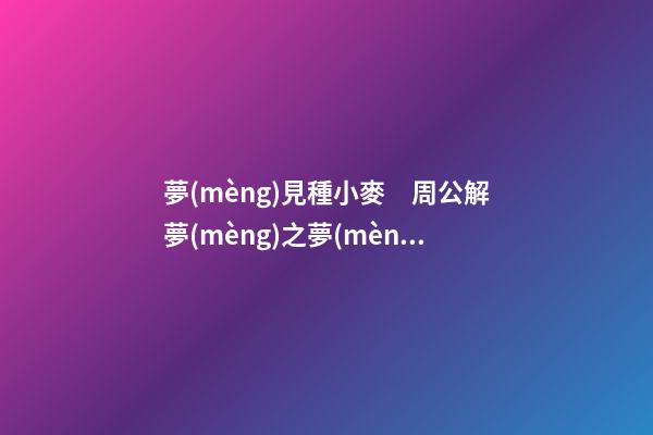 夢(mèng)見種小麥　周公解夢(mèng)之夢(mèng)到種小麥